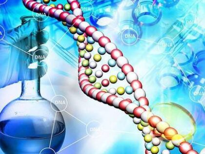   5大自主创新遗传基因将助推卤化镁溶液业摆脱窘境